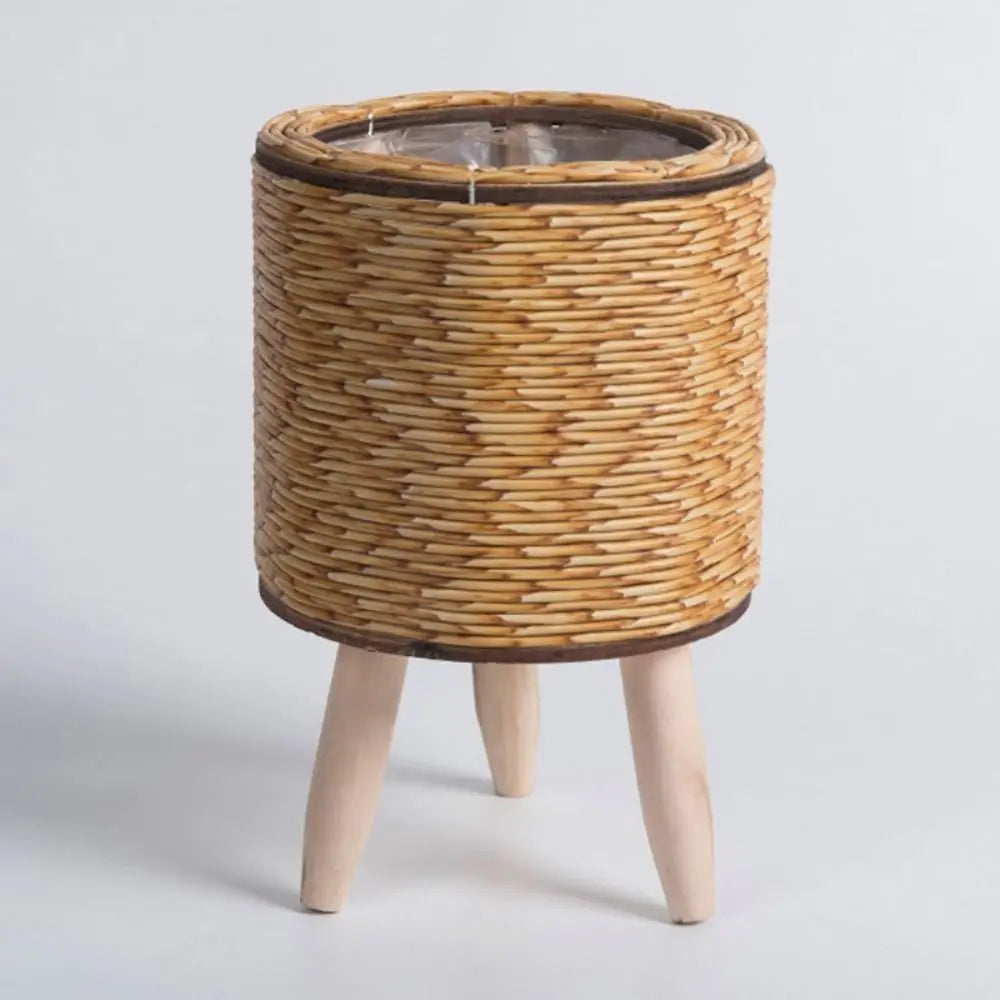 Wooden leg plant pot holding small cactus