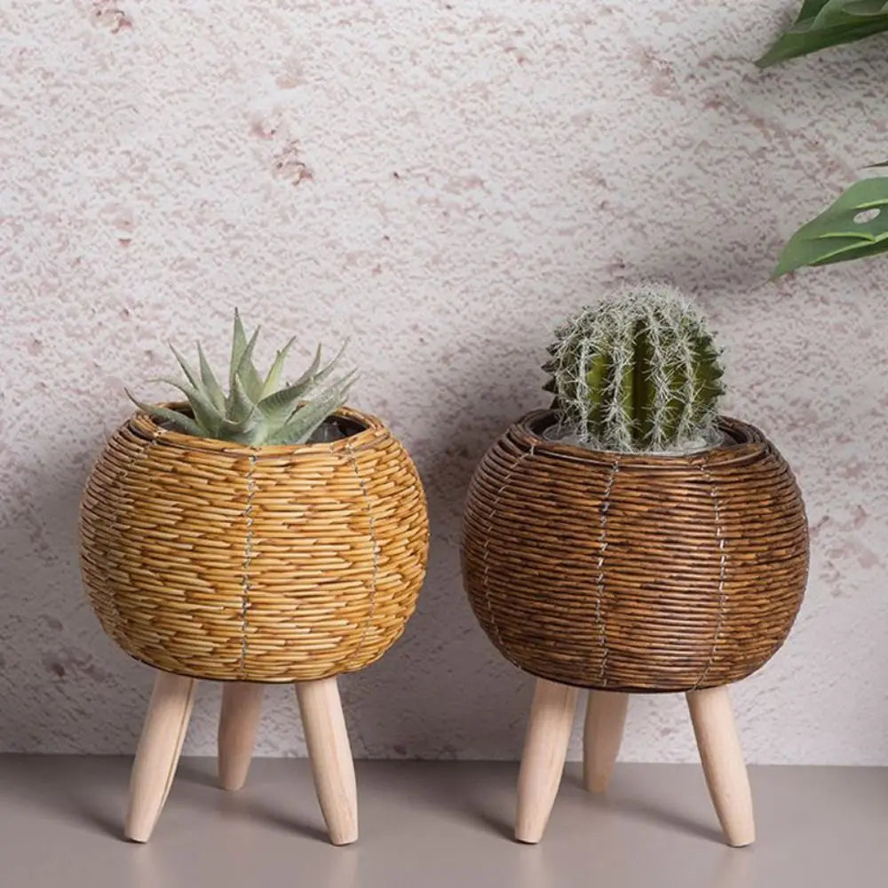 Boho style plant pot with succulent inside