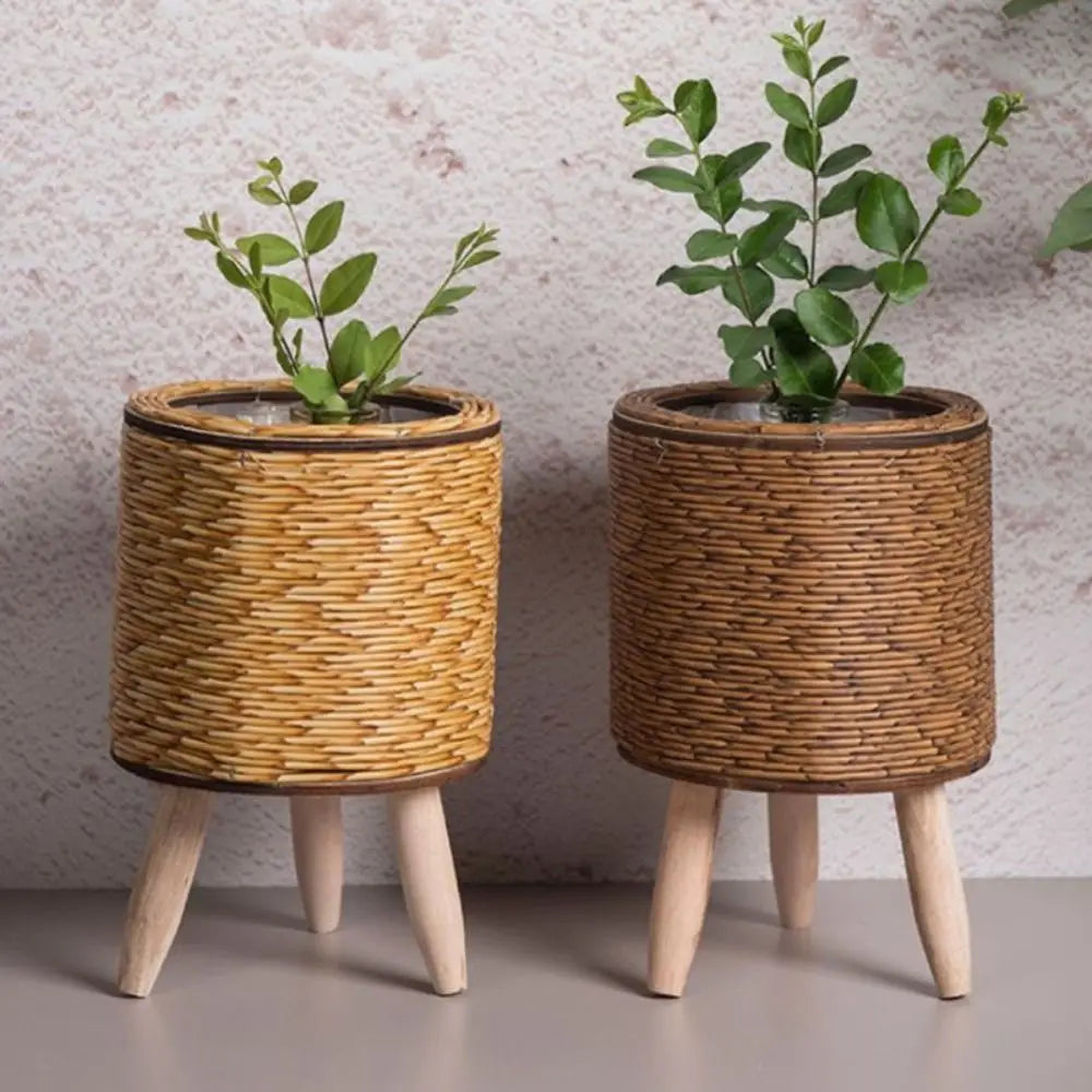 Handwoven rattan planter with cactus
